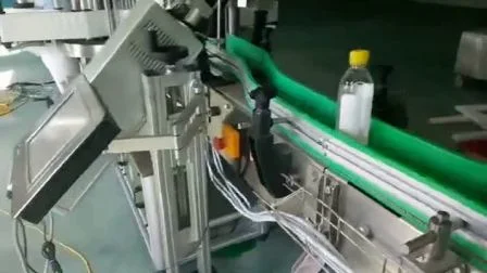 Leadjet 30 W CO2-Lasermarkierungsmaschine für das Ablaufdatum von Haustierflaschen und Plastiktüten